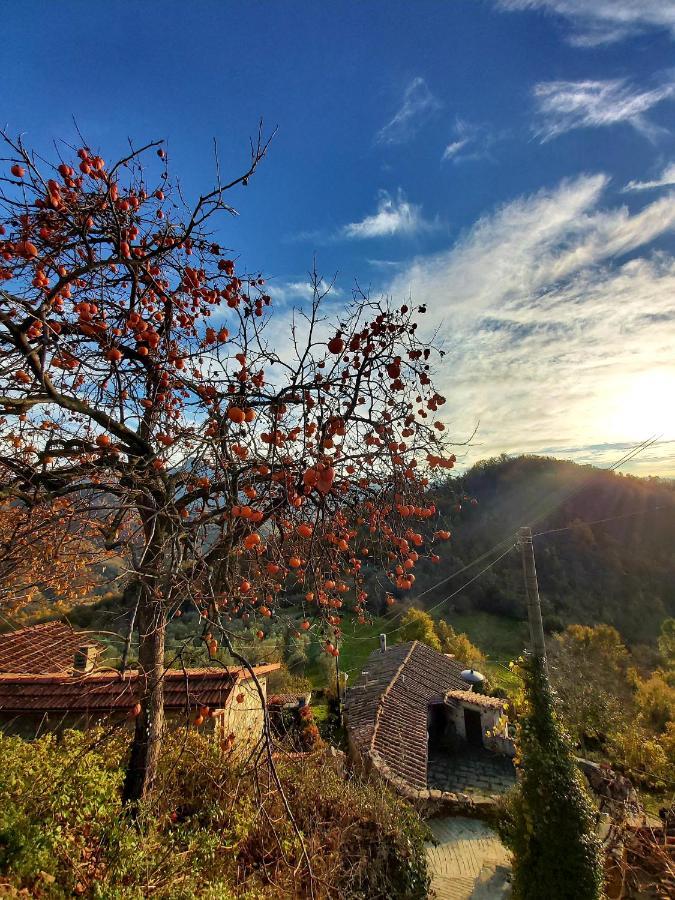 Il Convento Di Casola Casola in Lunigiana מראה חיצוני תמונה